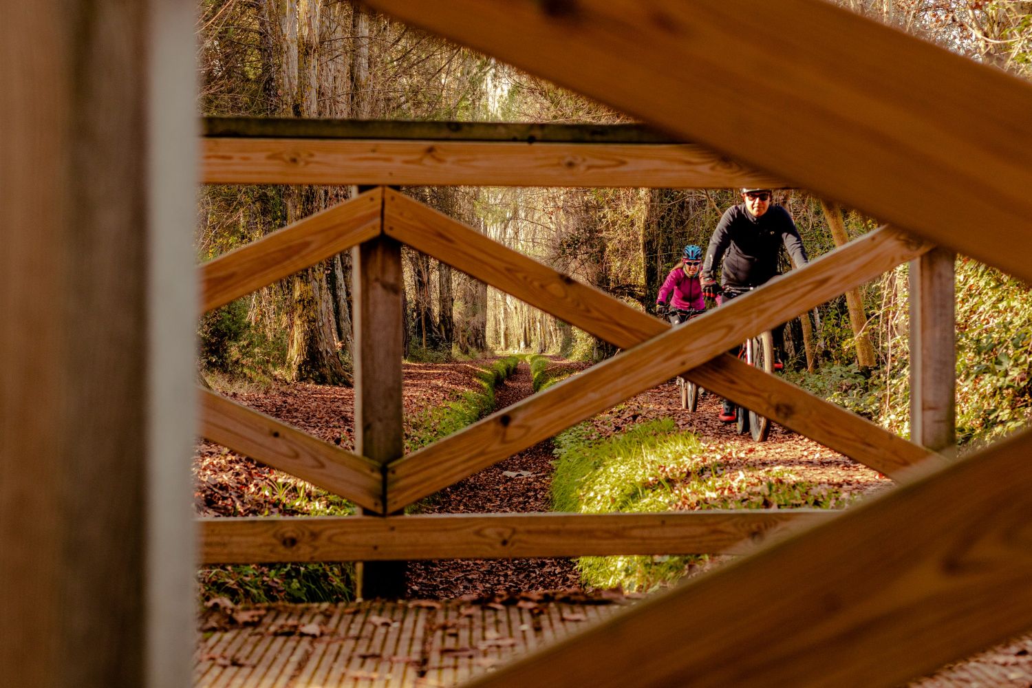 lex noviembre 2020-24112020-4025